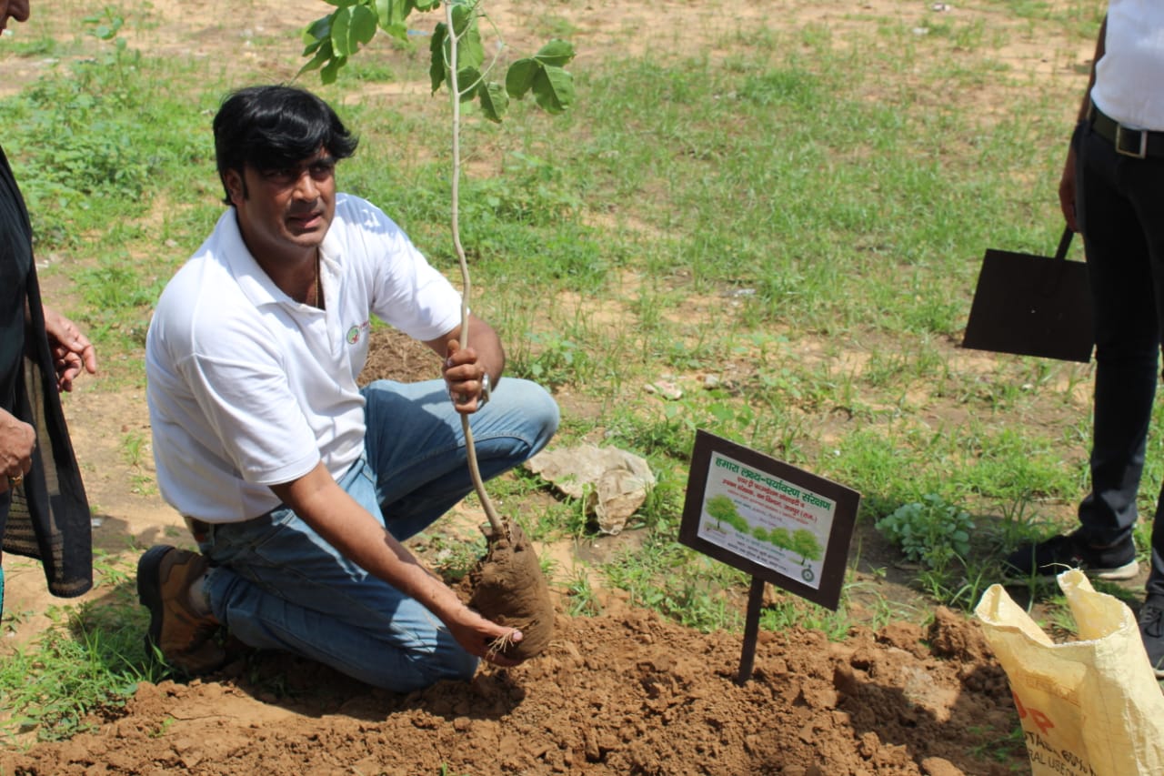 Plantation Drive