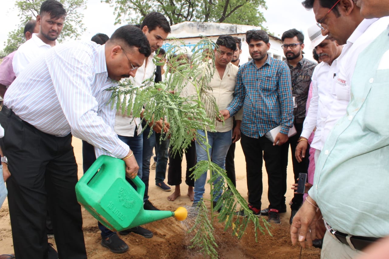 Plantation Drive