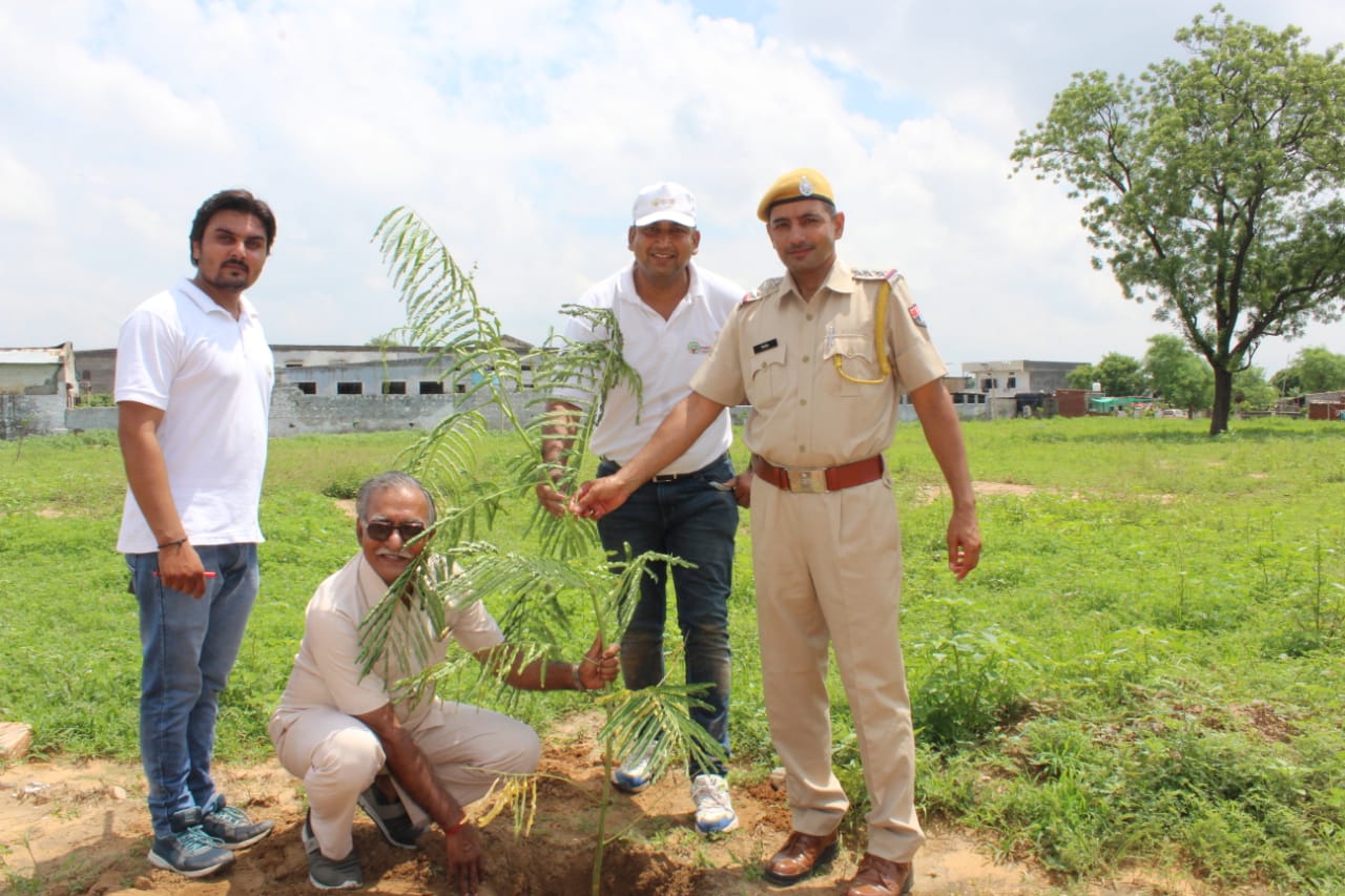 Plantation Drive