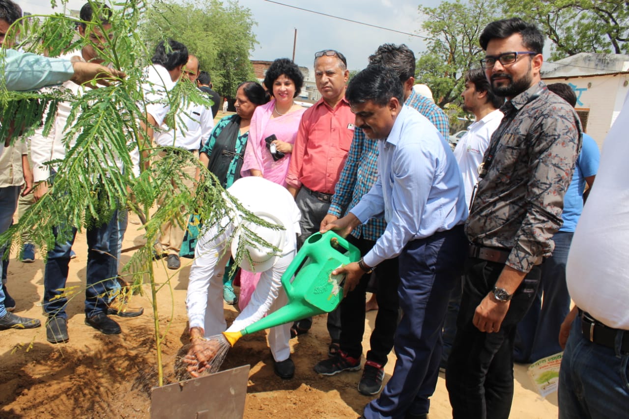 Plantation Drive