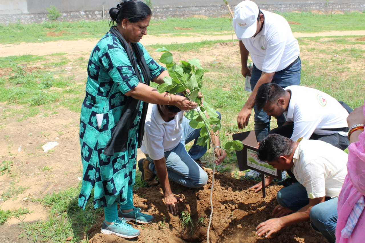 Plantation Drive