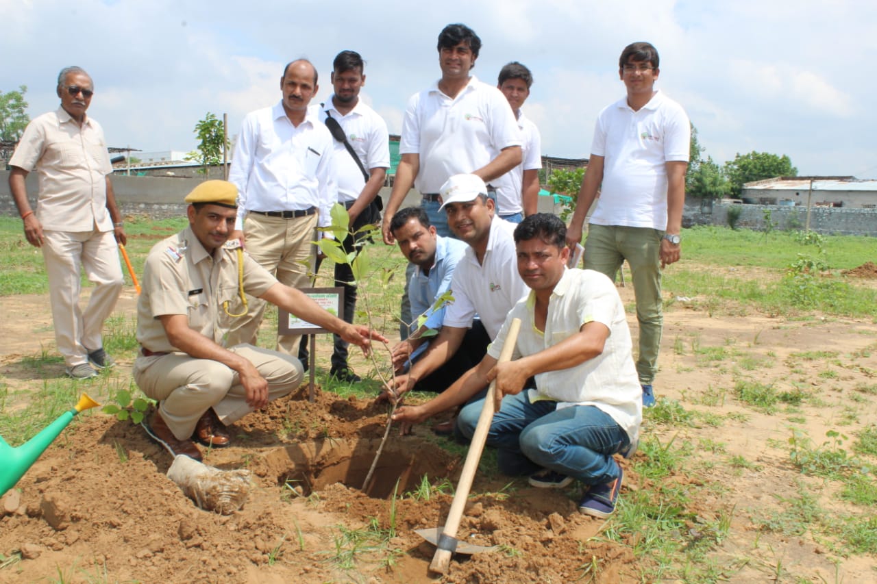 Plantation Drive
